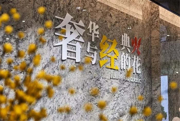 20190516155252747